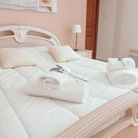 Mas De L'olivier - Enclave Des Papes - - 8 Couchages Holiday home *